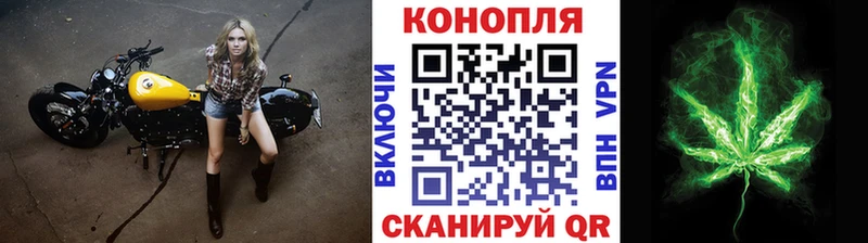 Бошки марихуана сатива  купить наркотики сайты  Пионерский 